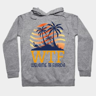 Welcome To Florida Palm Tree Sunset Flamingo WTF Design Hoodie